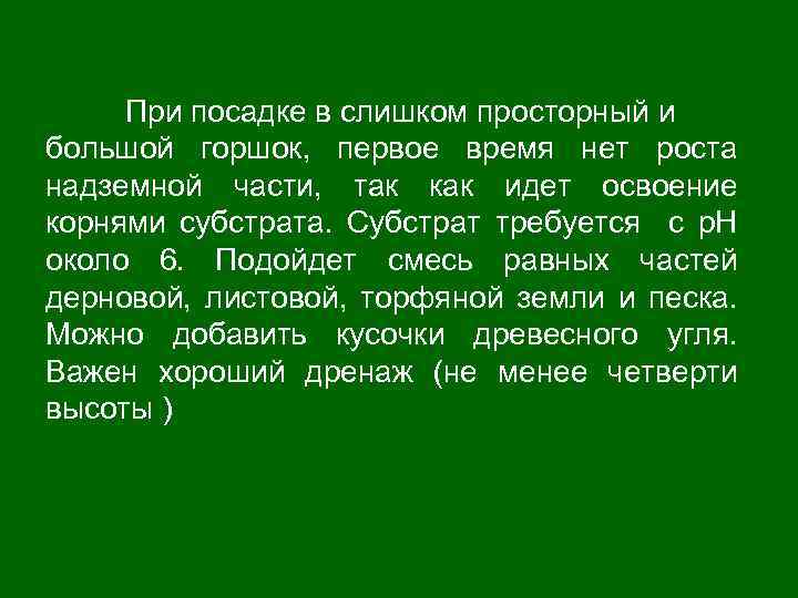 При посадке в слишком просторный и большой горшок, первое время нет роста надземной части,