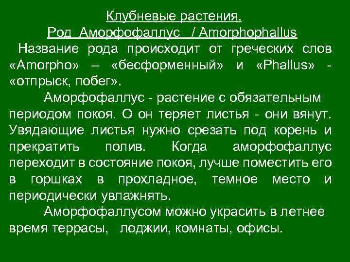 Клубневые растения. Род Аморфофаллус / Аmorphophallus Название рода происходит от греческих слов «Amorpho» –