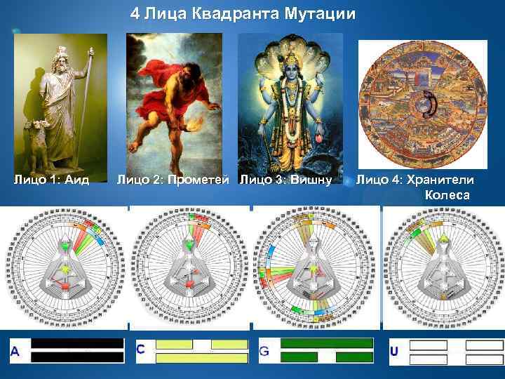  4 Лица Квадранта Мутации Лицо 1: Аид Лицо 2: Прометей Лицо 3: Вишну