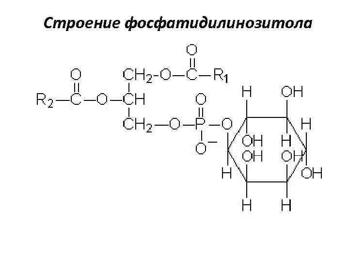 Строение фосфатидилинозитола 