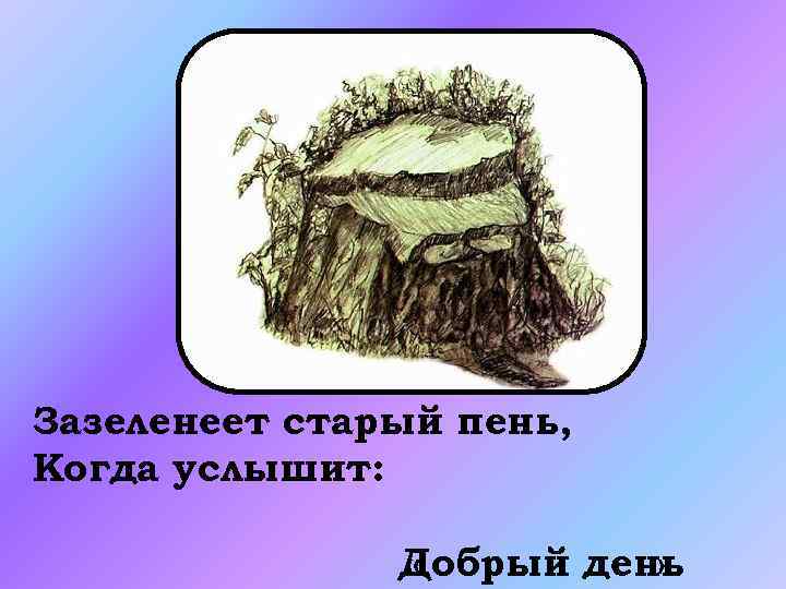 Зазеленеет старый пень, Когда услышит: Добрый день « » 