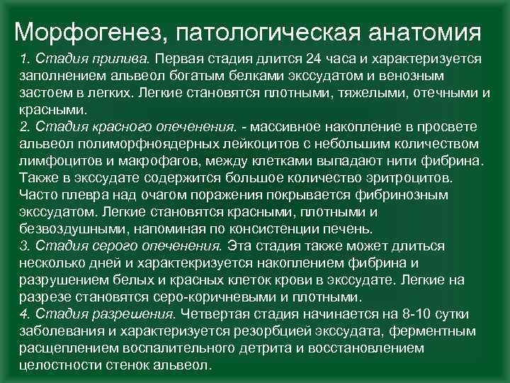 Морфогенез, патологическая анатомия 1. Стадия прилива. Первая стадия длится 24 часа и характеризуется заполнением