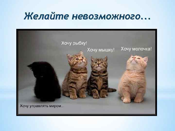 Желайте невозможного. . . 