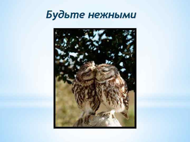 Будьте нежными 