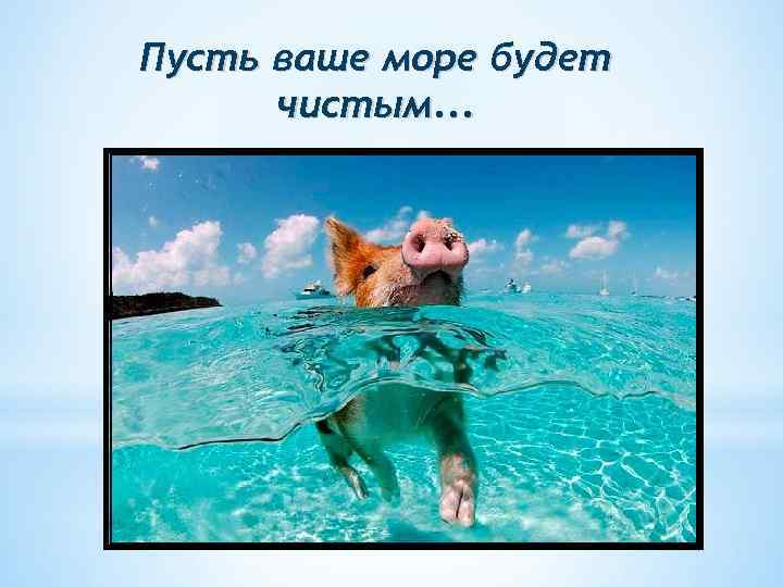 Пусть ваше море будет чистым. . . 