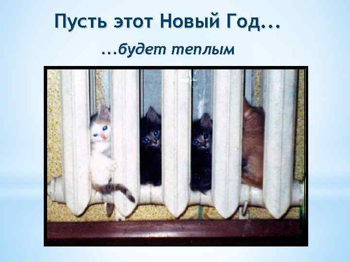 Пусть этот Новый Год. . . будет теплым 