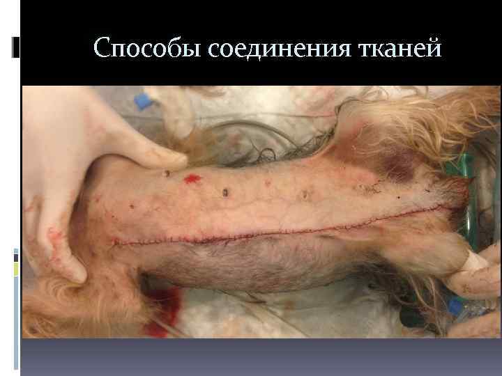  Способы соединения тканей 