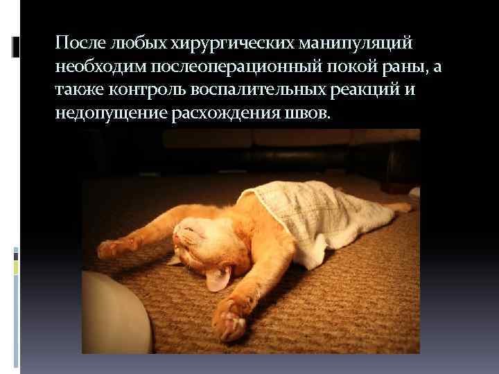 После любых хирургических манипуляций необходим послеоперационный покой раны, а также контроль воспалительных реакций и