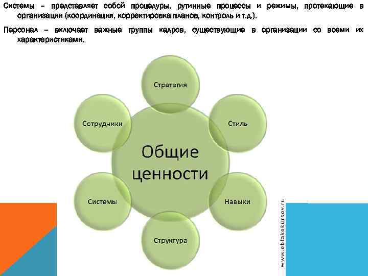 Системы – представляет собой процедуры, рутинные процессы и режимы, протекающие в организации (координация, корректировка