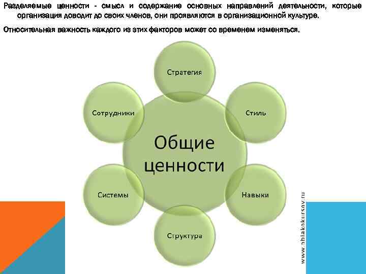 Разделяемые ценности - смысл и содержание основных направлений деятельности, которые организация доводит до своих