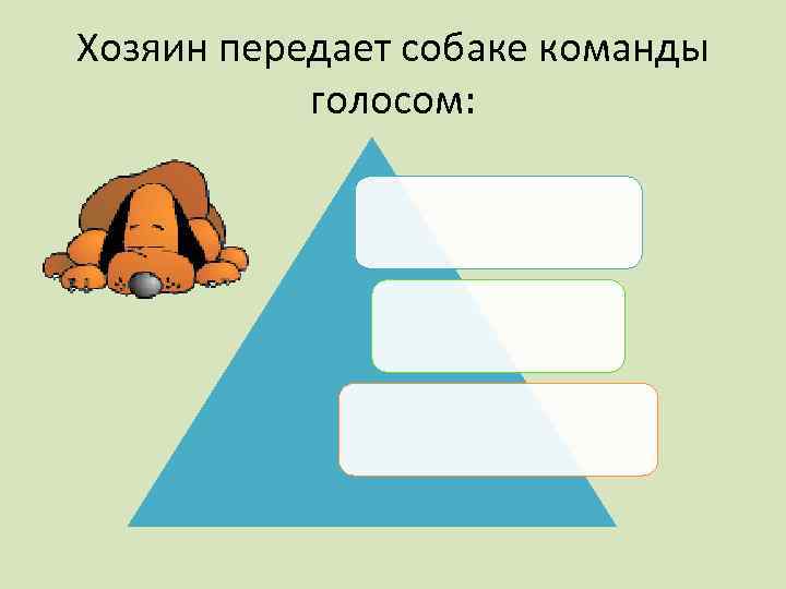 Хозяин передает собаке команды голосом: 