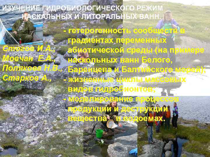 ИЗУЧЕНИЕ ГИДРОБИОЛОГИЧЕСКОГО РЕЖИМ НАСКАЛЬНЫХ И ЛИТОРАЛЬНЫХ ВАНН. - гетерогенность сообществ в градиентах переменных Стогов