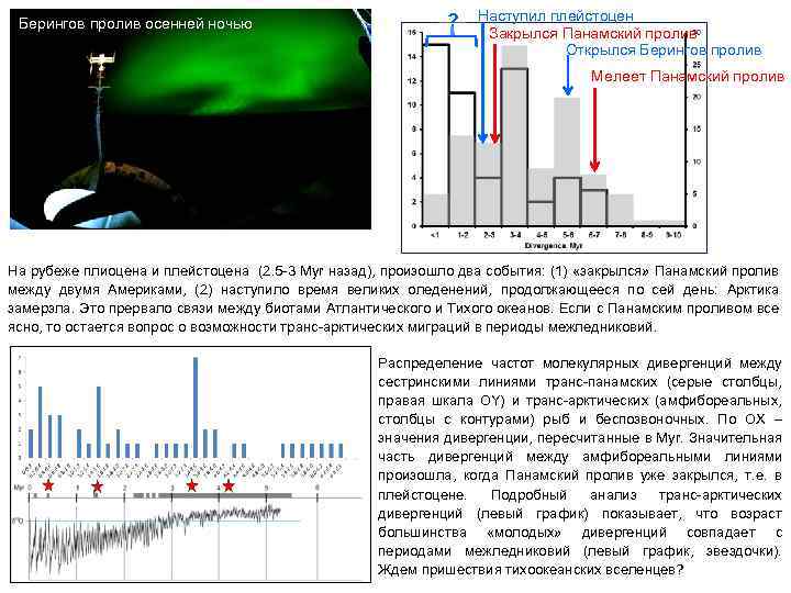 Берингов пролив осенней ночью ? Наступил плейстоцен Закрылся Панамский пролив Открылся Берингов пролив Мелеет