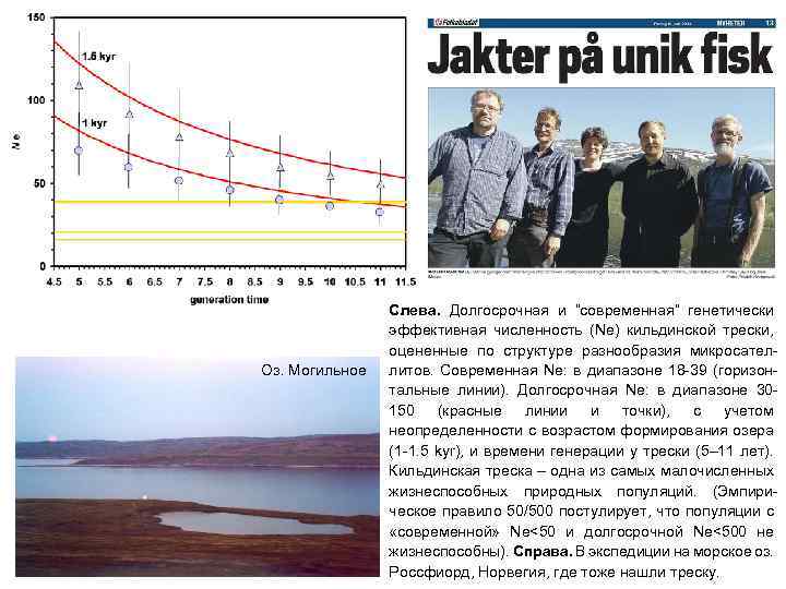 Оз. Могильное Слева. Долгосрочная и “современная” генетически эффективная численность (Ne) кильдинской трески, оцененные по