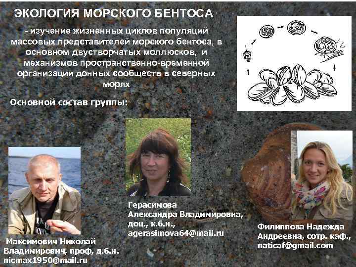 ЭКОЛОГИЯ МОРСКОГО БЕНТОСА - изучение жизненных циклов популяций массовых представителей морского бентоса, в основном