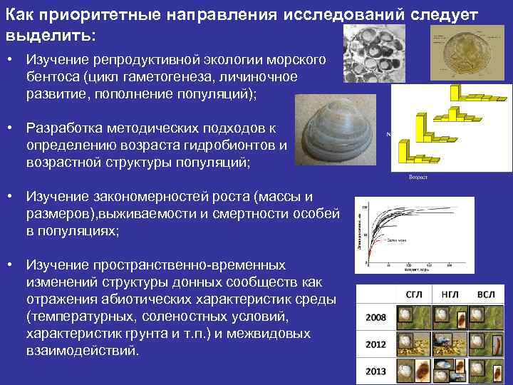 Как приоритетные направления исследований следует выделить: • Изучение репродуктивной экологии морского бентоса (цикл гаметогенеза,