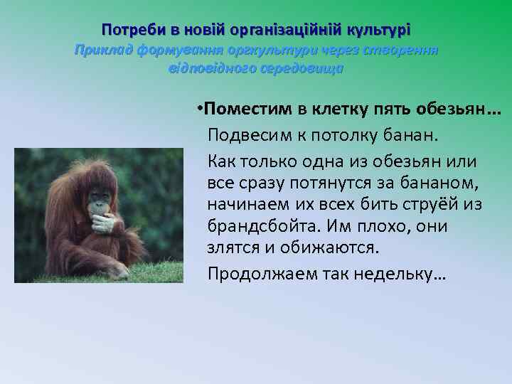 Потреби в новій організаційній культурі Приклад формування оргкультури через створення відповідного середовища • Поместим