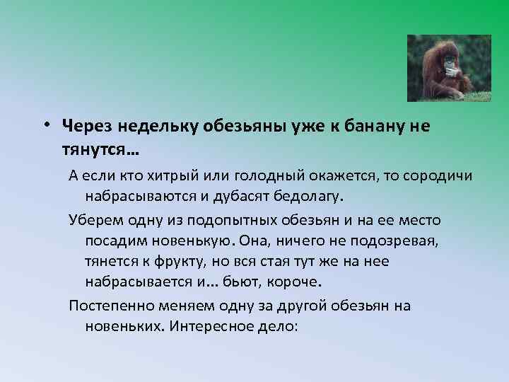  • Через недельку обезьяны уже к банану не тянутся… А если кто хитрый