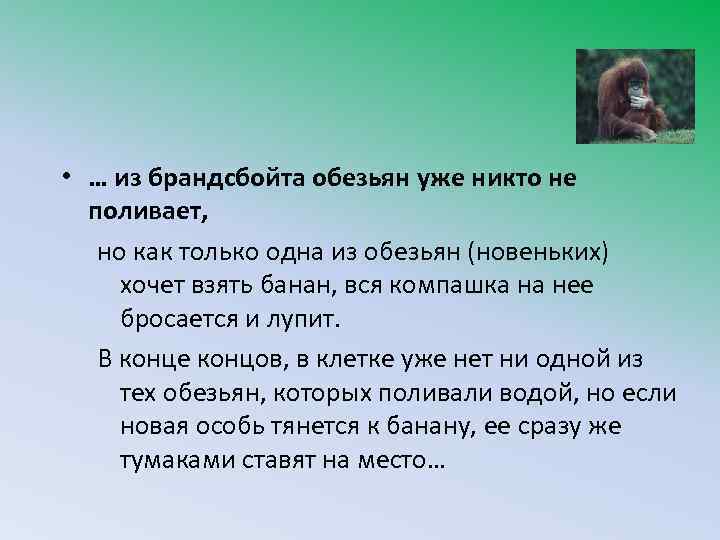  • … из брандсбойта обезьян уже никто не поливает, но как только одна