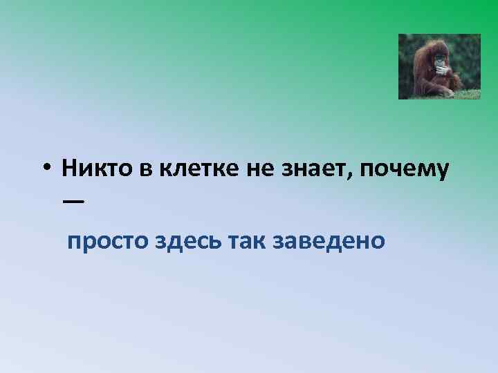  • Никто в клетке не знает, почему — просто здесь так заведено 