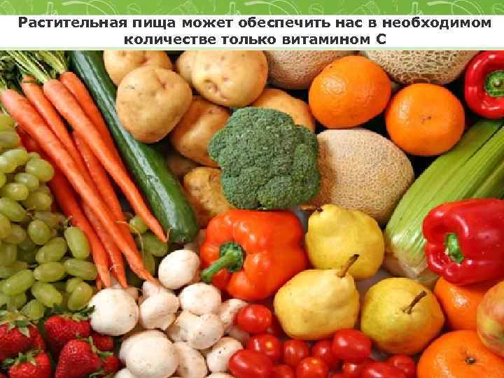 Растительная пища может обеспечить нас в необходимом количестве только витамином С 
