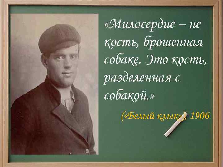  «Милосердие – не кость, брошенная собаке. Это кость, разделенная с собакой. » (