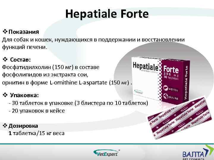 Hepatiale Forte v Показания Для собак и кошек, нуждающихся в поддержании и восстановлении функций