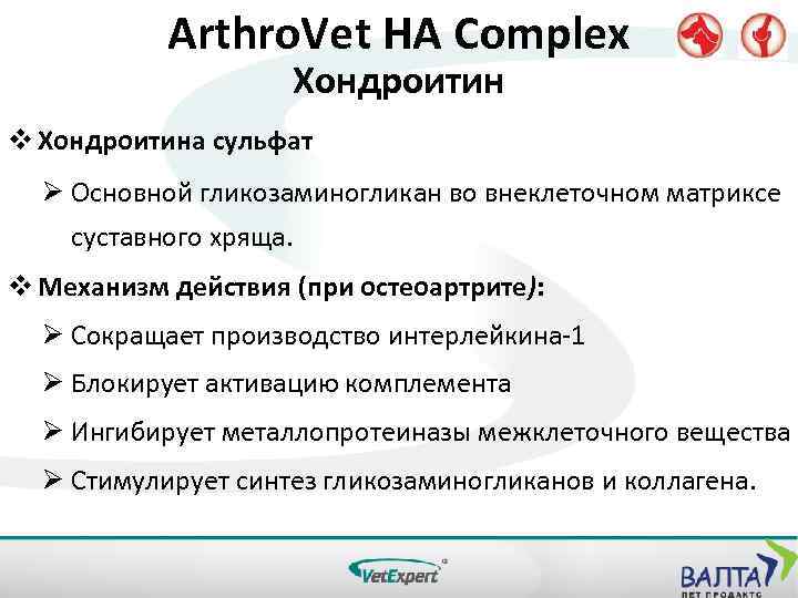 Arthro. Vet HA Complex Хондроитин v Хондроитина сульфат Ø Основной гликозаминогликан во внеклеточном матриксе