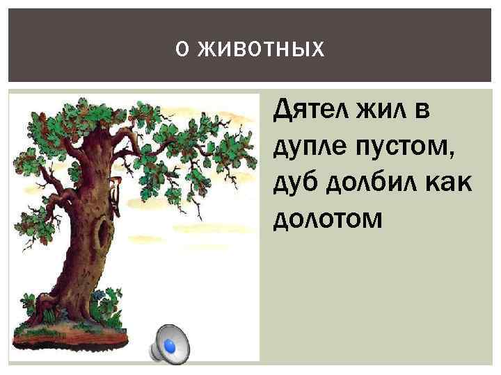 О ЖИВОТНЫХ Дятел жил в дупле пустом, дуб долбил как долотом 