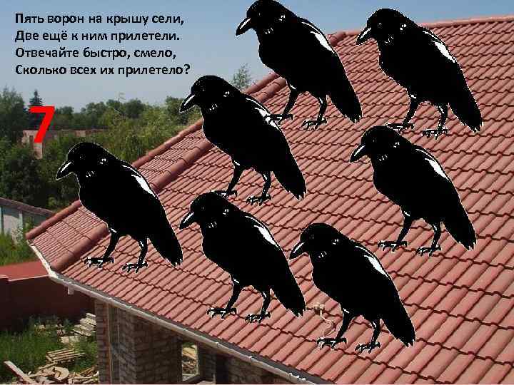Воронов шел по улице. Вороны на крыше. Три вороны. Крыша с воронами. Две вороны.