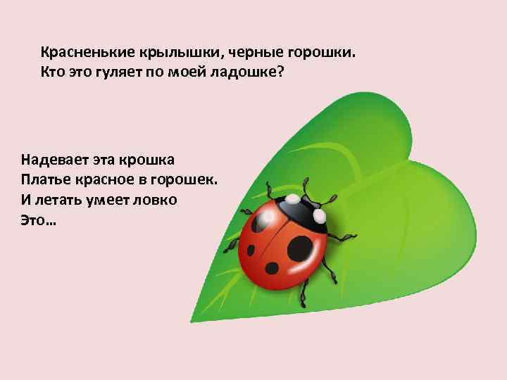 Красненькие крылышки, черные горошки. Кто это гуляет по моей ладошке? Надевает эта крошка Платье