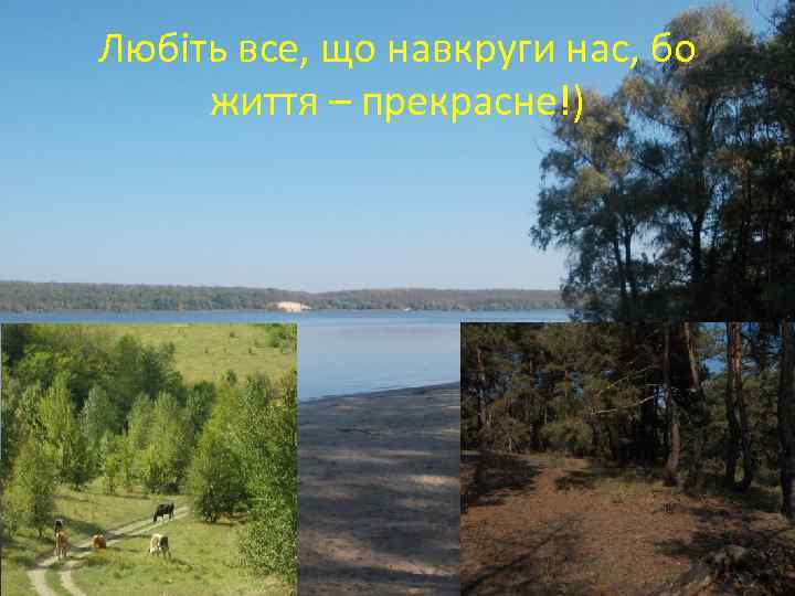 Любіть все, що навкруги нас, бо життя – прекрасне!) 