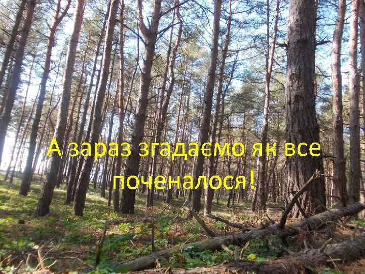 А зараз згадаємо як все поченалося! 