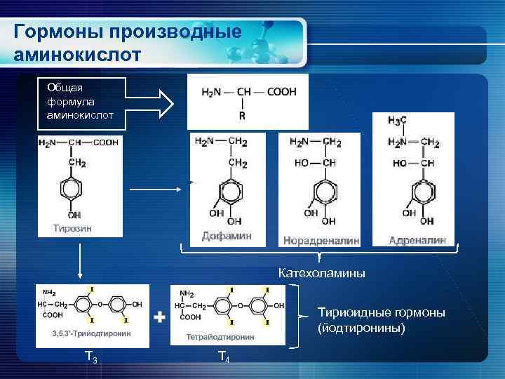 Гормоны производные аминокислот Общая формула аминокислот Катехоламины Тириоидные гормоны (йодтиронины) Т 3 Т 4
