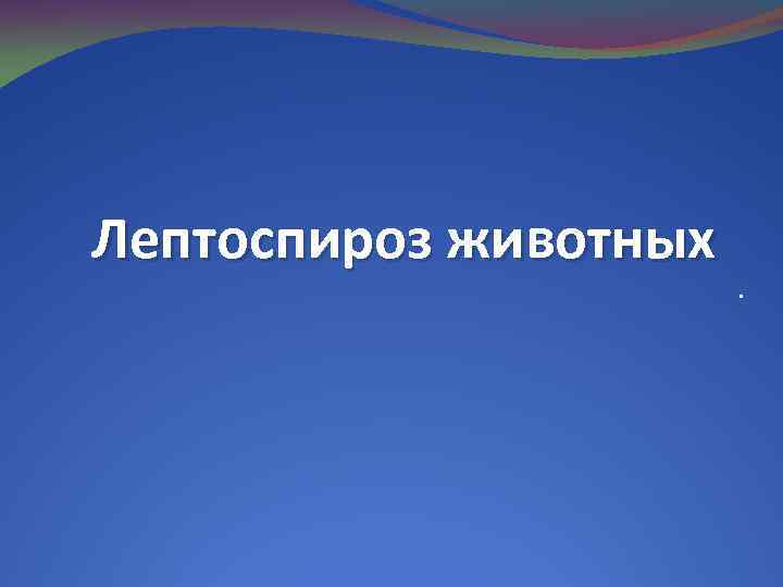 Лептоспироз животных . 