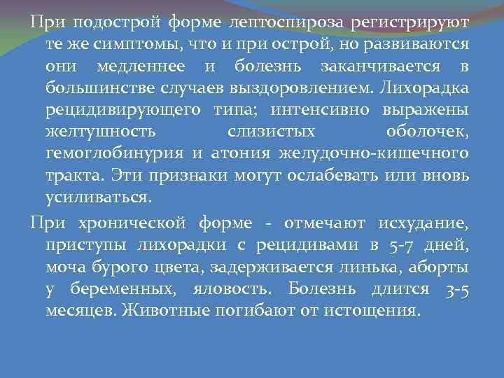 При подострой форме лептоспироза регистрируют те же симптомы, что и при острой, но развиваются