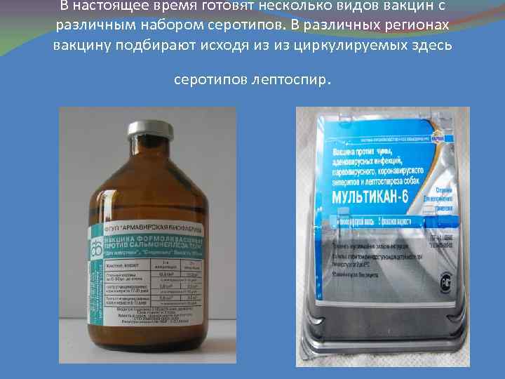В настоящее время готовят несколько видов вакцин с различным набором серотипов. В различных регионах
