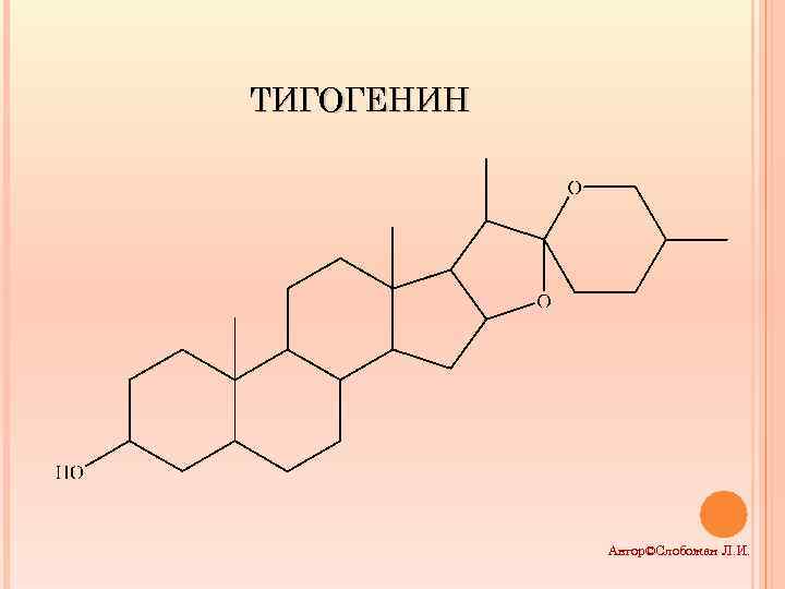 ТИГОГЕНИН Автор©Слобожан Л. И. 