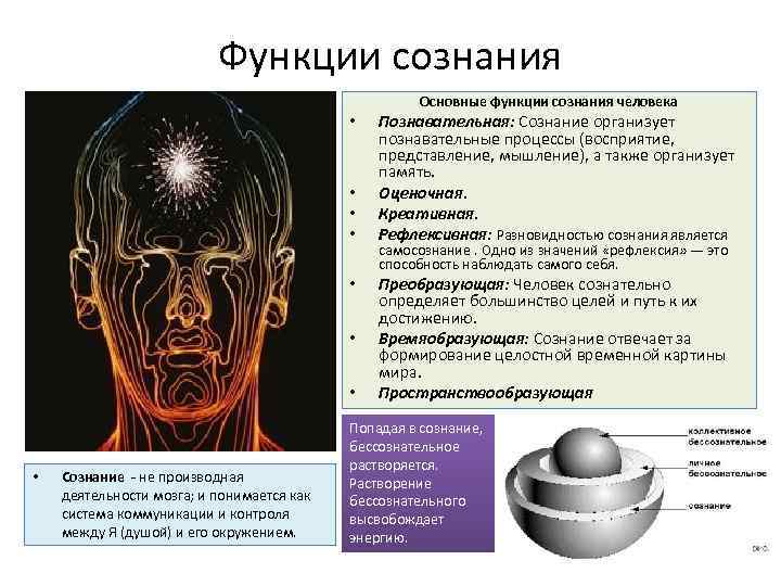 Функции сознания Основные функции сознания человека • • Сознание - не производная деятельности мозга;