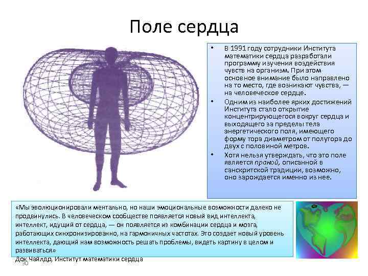 Поле сердца • • • В 1991 году сотрудники Института математики сердца разработали программу