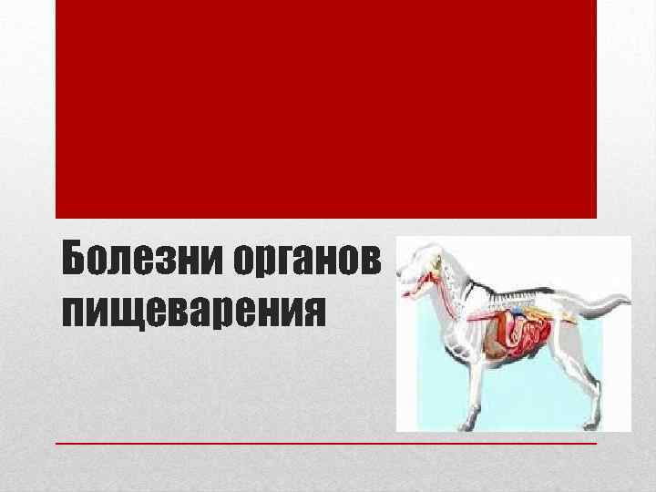 Болезни органов пищеварения 