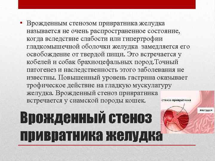  • Врожденным стенозом привратника желудка называется не очень распространенное состояние, когда вследствие слабости