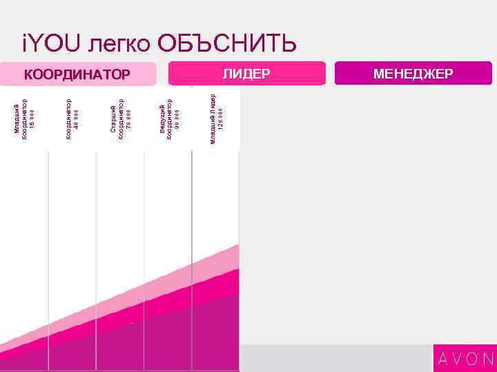 11 1 КООРДИНАТОР Младший Лидер 120 000 Ведущий Координатор 90 000 Старший Координатор 70