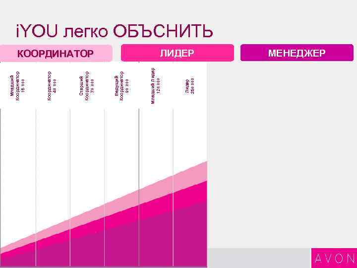 11 2 Лидер 250 000 КООРДИНАТОР Младший Лидер 120 000 Ведущий Координатор 90 000