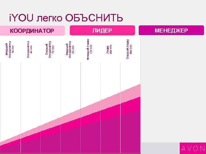 11 3 Старший Лидер 550 000 КООРДИНАТОР Лидер 250 000 Младший Лидер 120 000