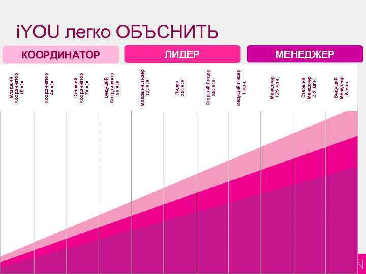 11 7 Ведущий Менеджер 5 млн. Старший Менеджер 2, 8 млн. ЛИДЕР Менеджер 1,