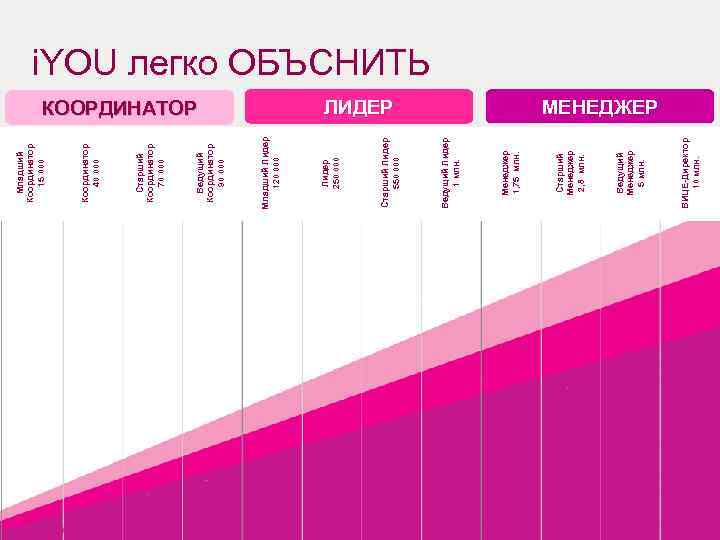 11 8 ВИЦЕ-Директор 10 млн. Ведущий Менеджер 5 млн. ЛИДЕР Старший Менеджер 2, 8