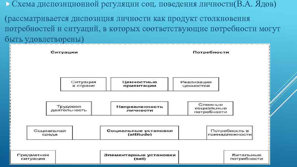 Структура поведения