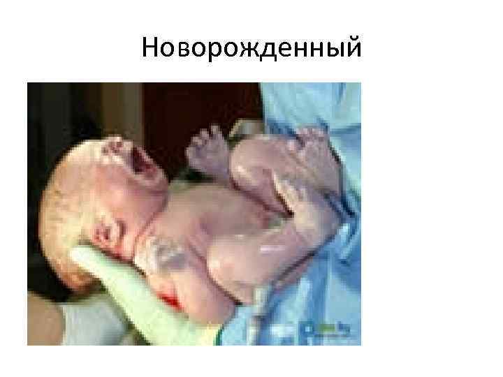 Новорожденный 