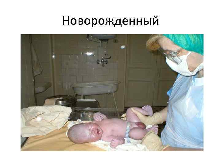 Новорожденный 